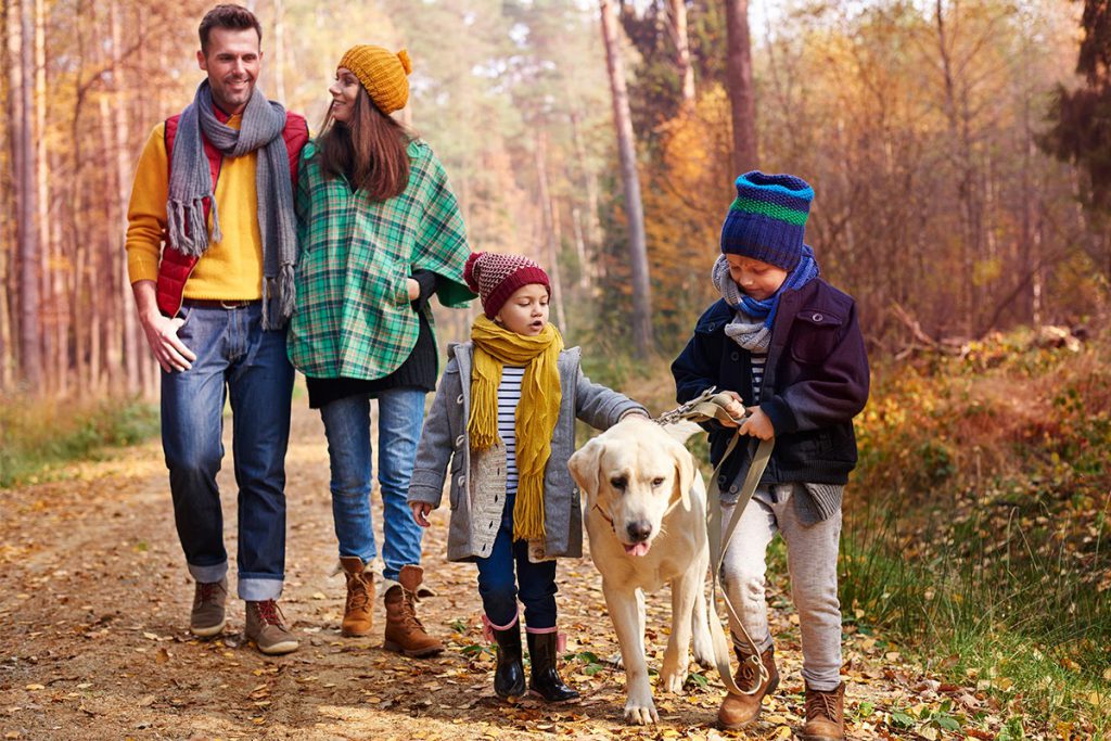 Een gezin is buiten aan het wandelen met de hond in het bos